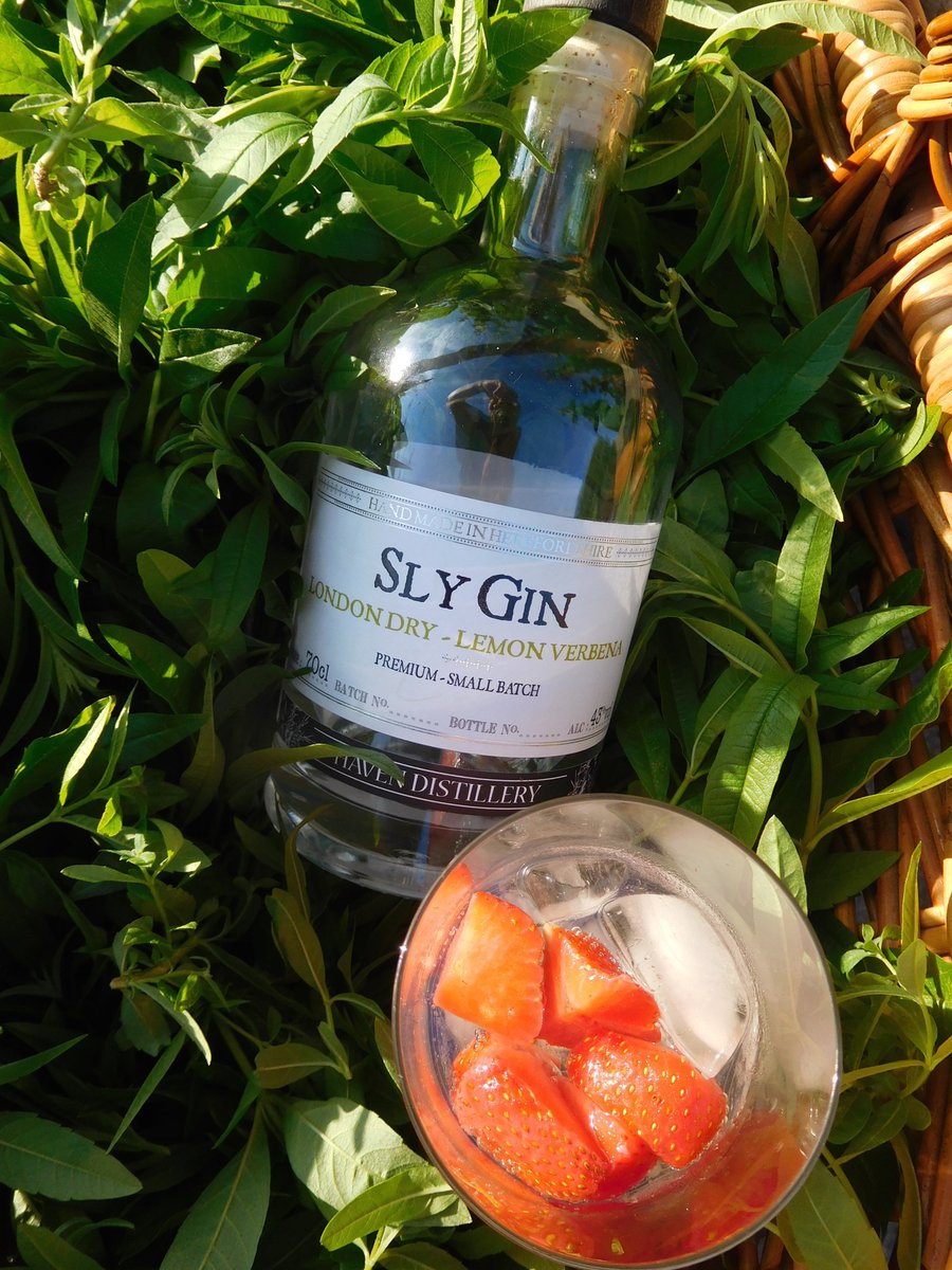 Sly Gin (@sly_gin) on Twitter photo More #Sly on the shelves at the super <a href="/PengethleyFarmS/">Pengethley Farm Shop</a> today! They have some lovely #local strawberries....just add to our #LemonVerbenaGin & top up with tonic of your choice. Delish! #HerefordshireGin #RossOnWye More #Sly on the shelves at the super <a href="/PengethleyFarmS/">Pengethley Farm Shop</a> today! They have some lovely #local strawberries....just add to our #LemonVerbenaGin & top up with tonic of your choice. Delish! #HerefordshireGin #RossOnWye