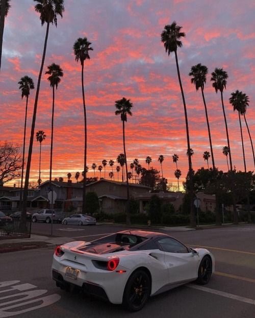 CAR_VIBES's tweet photo. Look at that view https://t.co/IyMocei99r