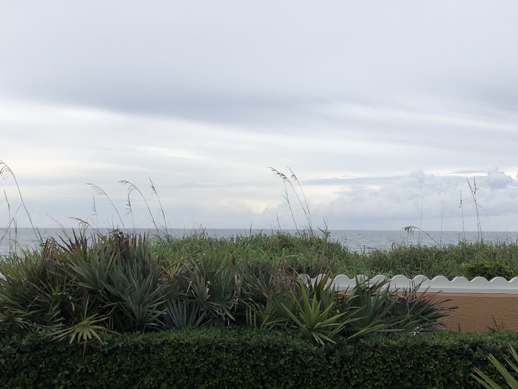 Dr_KFO's tweet photo. Last day of #CSTE2018 and I finally made it to the beach! https://t.co/U3tHzp7cmD