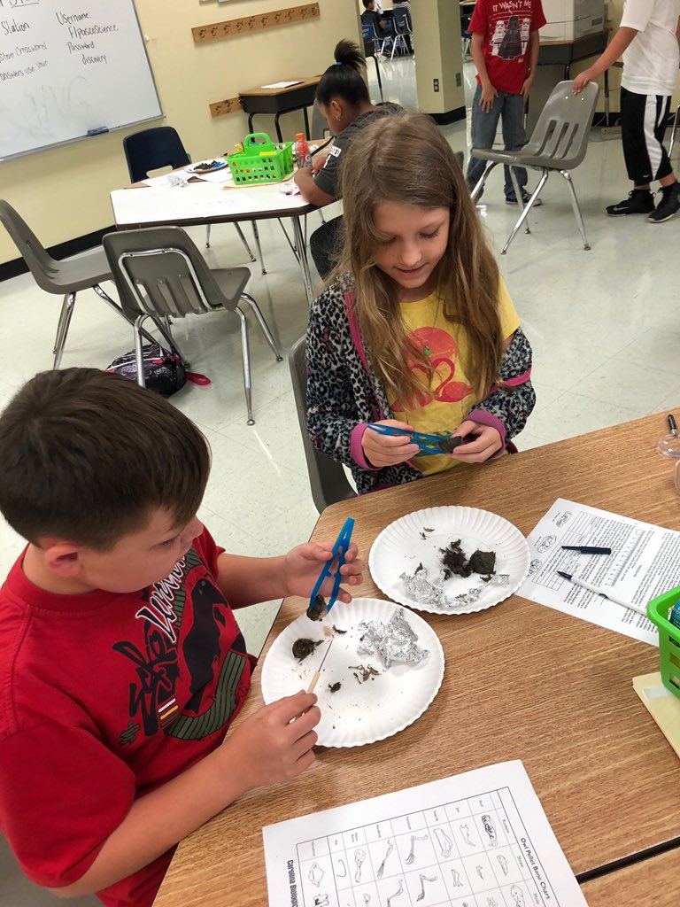 Students explore the natural world by analyzing food chains in STEM CAMP. #owlpellets @GESPelicans  @ClaraCraig76