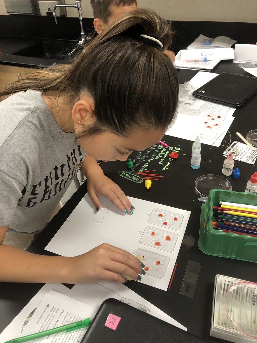 Day 3 of the Eastside Biomed summer camp for 6-8th grade students.  Today we used a “Who done it?” lab to analyze fingerprints, hair samples, and blood samples!  <a href="/Gomediapro/">Armin Gomez (she/her)</a> #STEM #STEMeducation <a href="/MiniOneSystem/">MiniOne® Systems</a> #biomedical