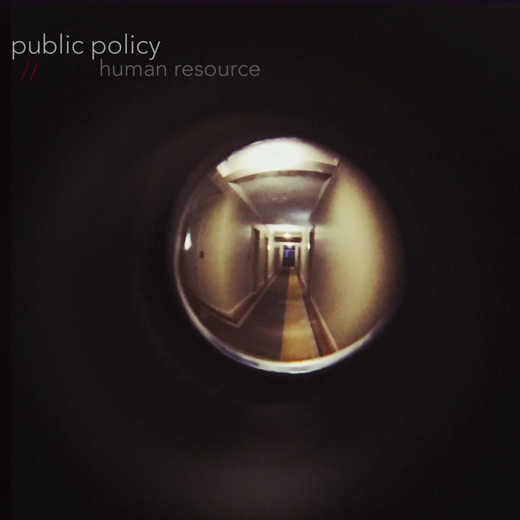 Public Policy-Human Resource (Review) theashgrayproclamation.com/2018/06/13/pub…
