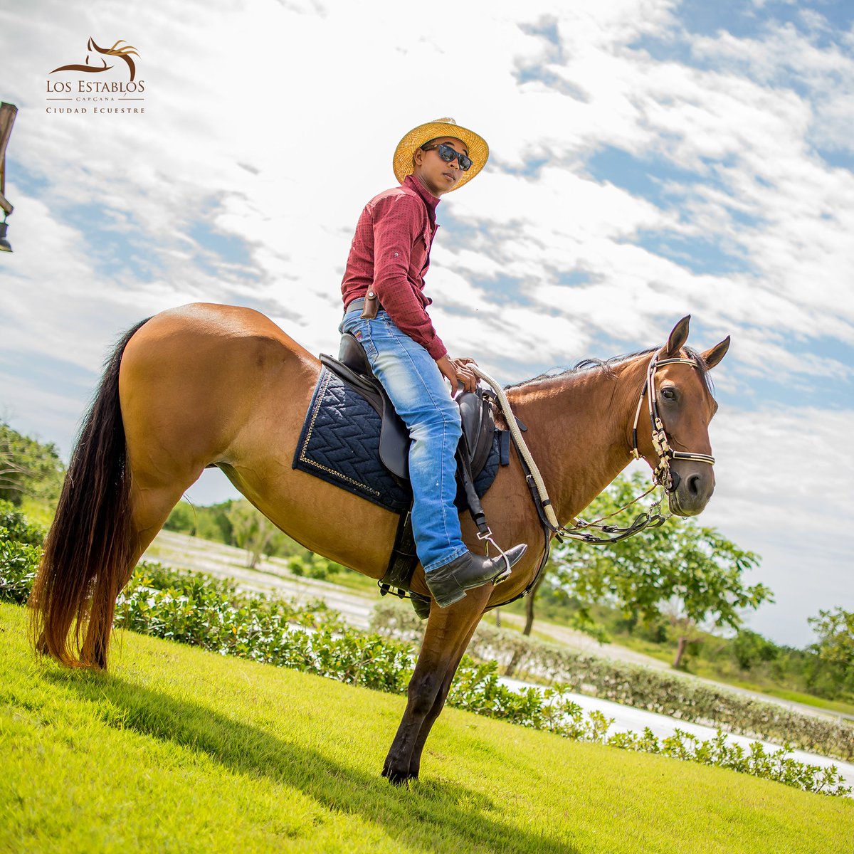 LosEstablosRD's tweet photo. Contáctanos y pregunta por nuestros Tours Guiados de los Miércoles y Domingos.
#LosEstablos #ViveLosEstablos #EquineParadise #LosEstablosLifestyle #Capcana #ViveCapCana #Puntacana #RepublicaDominicana https://t.co/0k3A2rMOQU