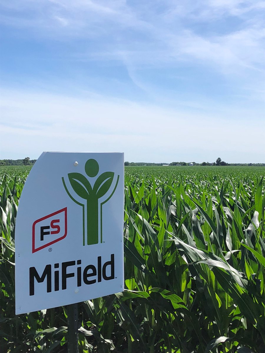 GoldStarFS1's tweet photo. #MiField Delivering Data Driven Profitability
This is MiField.
Is your field on track to reach the highest profit per acre??
Talk to your local Gold Star FS Agronomist to learn more.
@GROWMARK @GMK_Agronomy @WillowGriffith https://t.co/JmgJrg0m4d