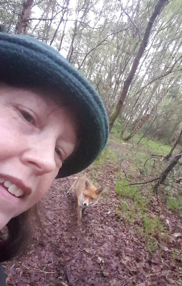 wisebee's tweet photo. @tombellforever And here's another - although this is a selfie with my vixen who meets me in the woods on my dog walk most mornings. I'd like to see more selfies with foxes please! #rooffox #foxes https://t.co/qsTBxV7ker