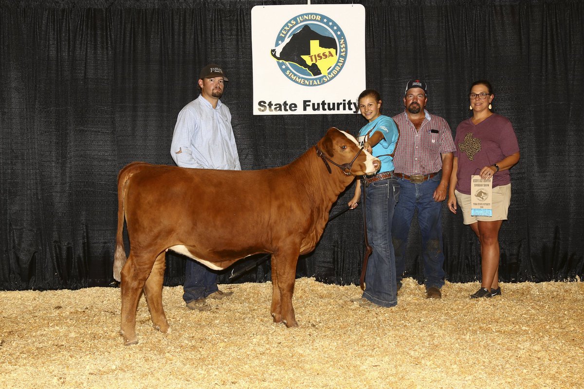 tcheck30's tweet photo. 5W Katie
Sire: TK/FCC Hard Body
Dam: 5W Cowgirl Up
2018 @TJSSA State Futurity Reserve Calf Champion and 5th overall #Simbrah
#AJSR #TJSSA #AJSA #ImInIt2WinIt #Show_Nation_Co @OxygenProducts https://t.co/RCw2NDZtu6