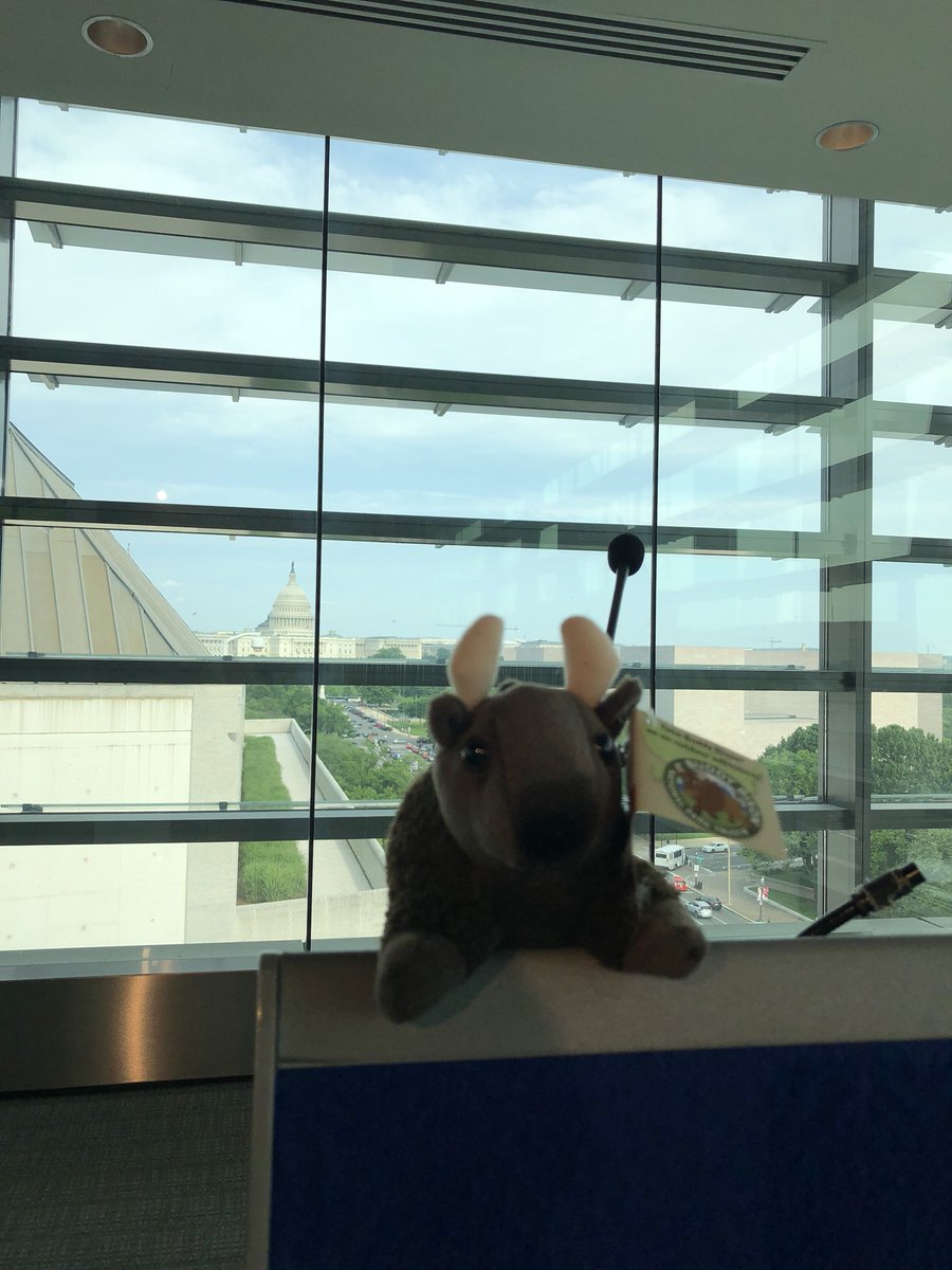 NatParkTrust's tweet photo. Taking in the view from @newseum before our annual Vento Award event begins! So excited to honor Senator @MartinHeinrich tonight with #Vento2018 for his work to protect our parks and keep them accessible for all. #Buddybison https://t.co/05NlEimuX1