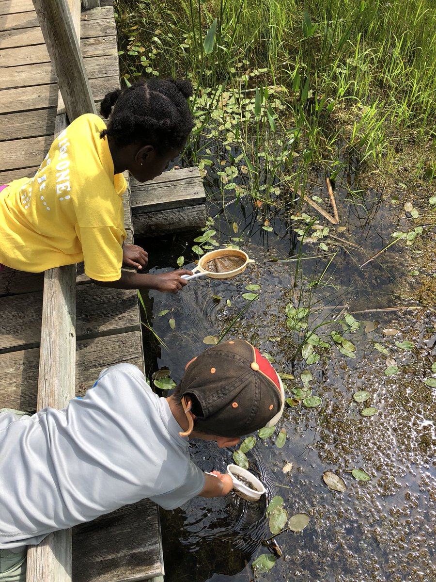 tbossence's tweet image. We had so much fun at Tiffin today! @SCDSB_OutdoorEd @allistonunion @MrBrownieKindie #nvca