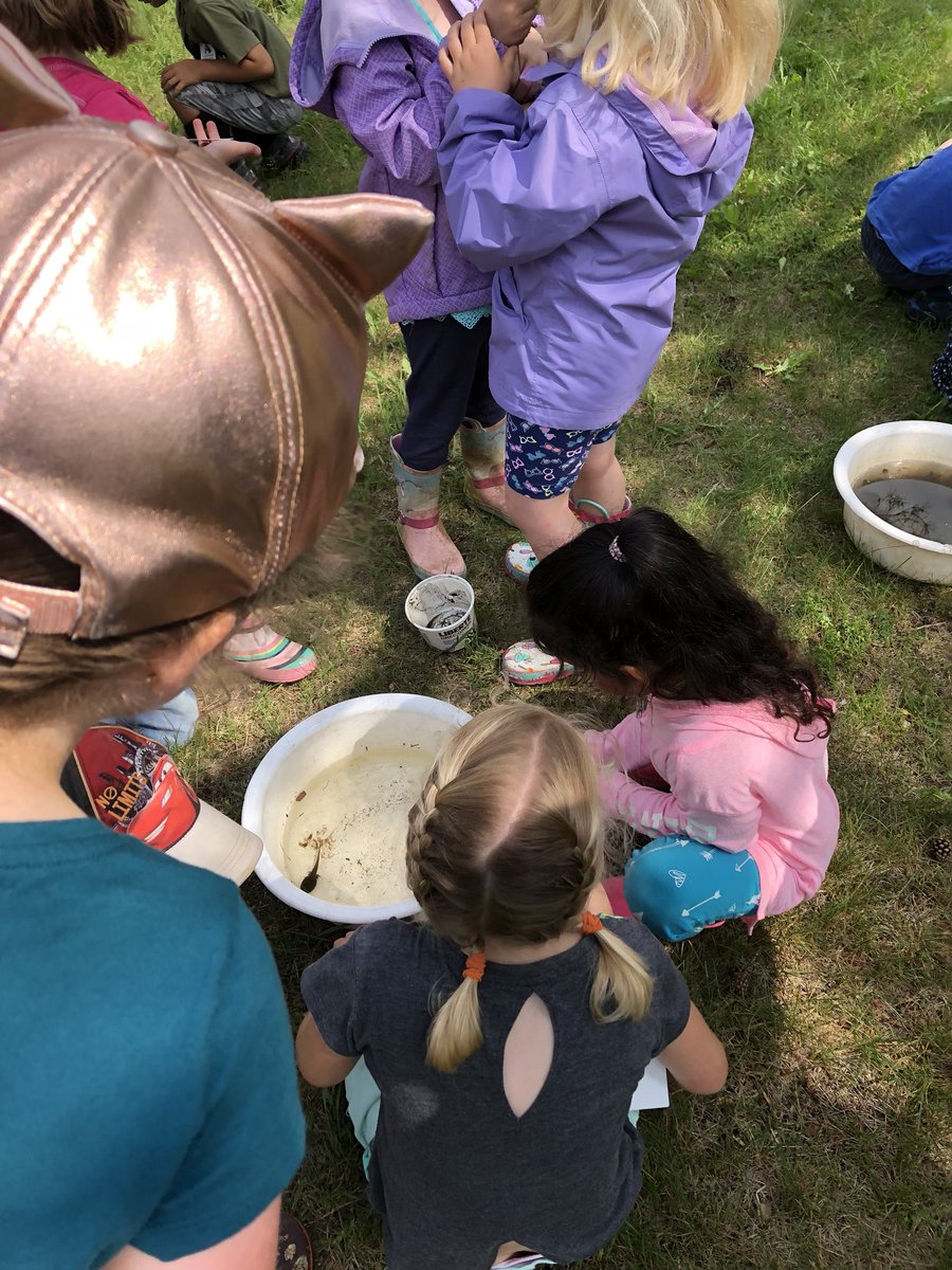 tbossence's tweet image. We had so much fun at Tiffin today! @SCDSB_OutdoorEd @allistonunion @MrBrownieKindie #nvca