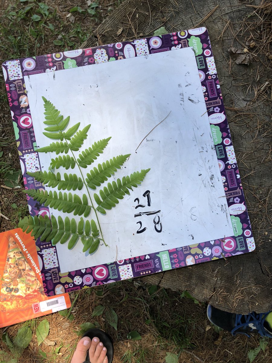 jlk_jerri's tweet photo. Outdoor learning- fractions.  Is 1/4 or 1/2 bigger? @MacaulayPS @MsBlackburn1 https://t.co/PLqXBrcA9p