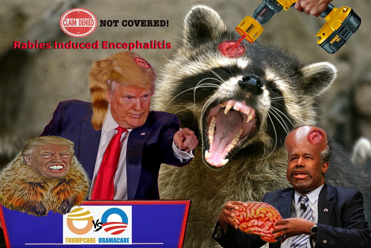 erikjburch's tweet photo. Sick #racoon climbs #TrumpTowerPyongyang ๐ฆ
#racoonwatch https://t.co/0mFsl8kKxQ