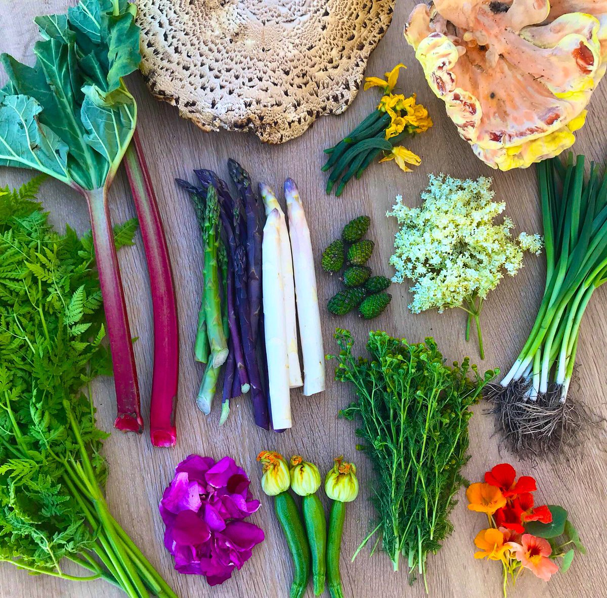 ReneRedzepiNoma's tweet image. the plant kingdom is everything
•
Sweet cicely, rhubarb, dryads saddle &amp;amp; chicken of the woods mushroom, asparagus, green pine cones, elderflower, leeks, wild roses, courgette flower, Wild camomille &amp;amp; nasturtium
