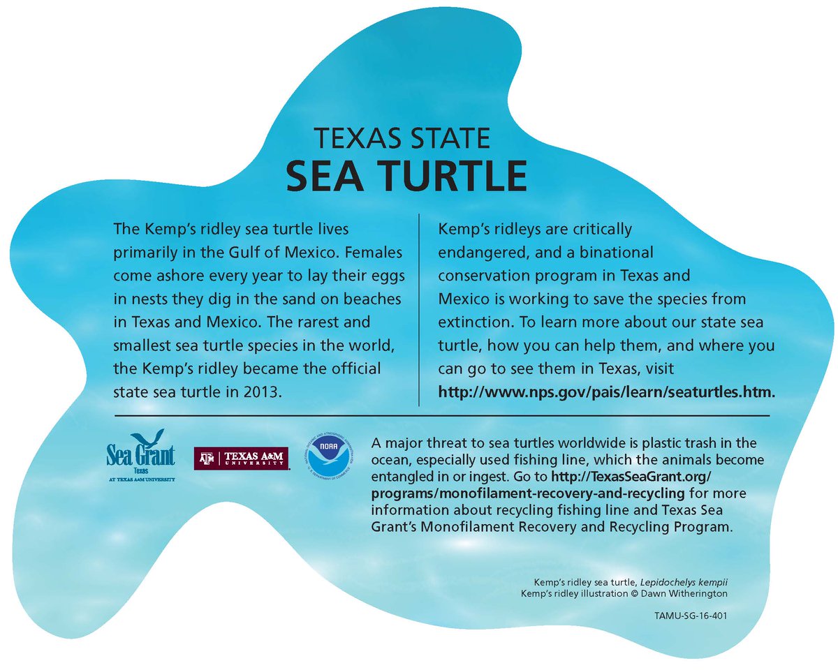It's #SeaTurtleWeek! Plastic pollution is one of the greatest dangers to sea turtles. One of the ways you can help is to recycle your old monofilament fishing line! To learn more about our Monofilament Recovery and Recycling program, go to: mrrp.tamu.edu