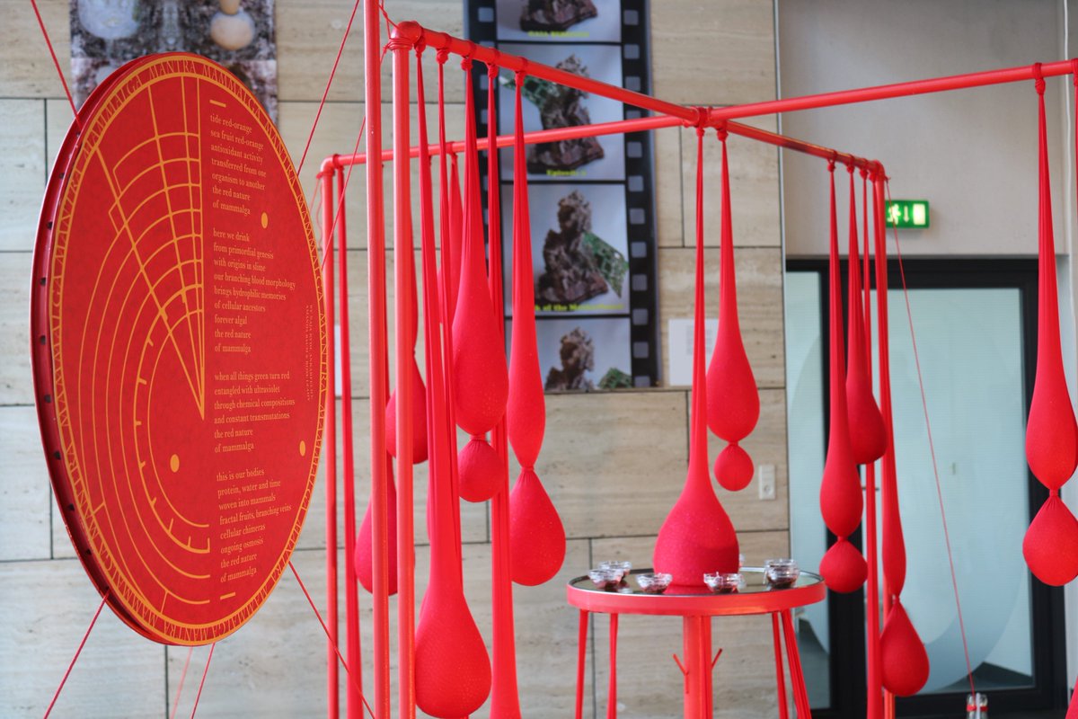 SLSAeurope's tweet photo. The Red Nature of Mammalga by Naja Ryde Ankarfeldt, Amanda Baum & Rose Leahy, exhibited as part of the art programme @SLSAeurope GREEN
#SLSAGREEN #SLSAeu #green2018 https://t.co/86Rb2mP6UF