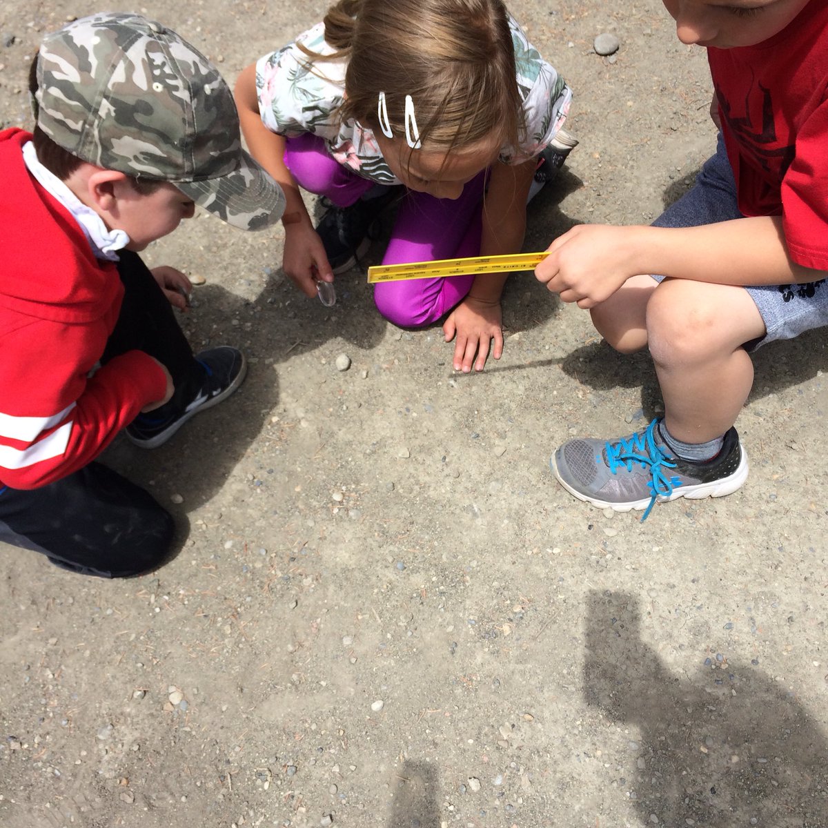 MPSgr1Harrison's tweet photo. We were searching for ants to put in our ant farm.  Catching them was much harder than we thought.  We watched two ants communicating with their antenna, we think they were making an escape plan. https://t.co/avsGX70RLu