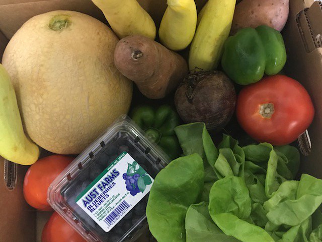 MSfarmed's tweet photo. Featured Mississippi Produce: 
•Cantaloupe - Mize 
•Crookneck squash - Philadelphia
•Blueberries - Maxie 
•Sweet potatoes - Vardaman 
•Bibb lettuce - Flora 
•Beefsteak tomatoes - Flora
Other Produce included this week: 
•Red beets 
•Green bell peppers https://t.co/5feKKfmnXu