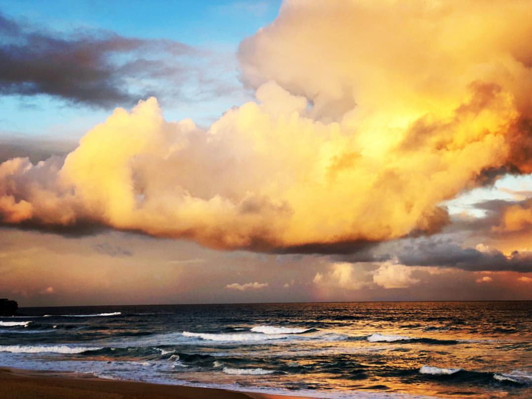 WeatherPlatform's tweet image. A glorious day in sight for #Sydney today. #Weather
Pic: Manly_Wather_ Watch Instagram.com/WeatherPlatform
