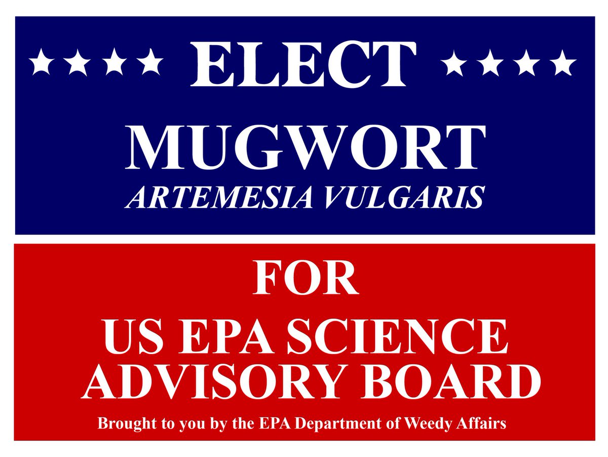 eirons's tweet image. #PressRelease! Meet the candidate on Friday in DC: "EPA’s Department of Weedy Affairs announces nomination of Mugwort (Artemisia vulgaris) for US EPA Science Advisory Board" #EnvironmentalPerformanceAgency #transparencyinscience #bootpruitt environmentalperformanceagency.com/mugwort-nomina…