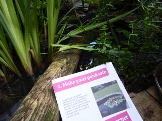 OntheR1se's tweet photo. Inspired by #HedgeOx on #30DaysWild Day13 I tested my garden against the @PTES &amp; @hedgehogsociety recommendations for encouraging hedgehogs. I'm pleased to say that it's 90% there - must work on building a log pile before autumn! 🦔🌲🌳🛌🍂 https://t.co/OQhE02skKt