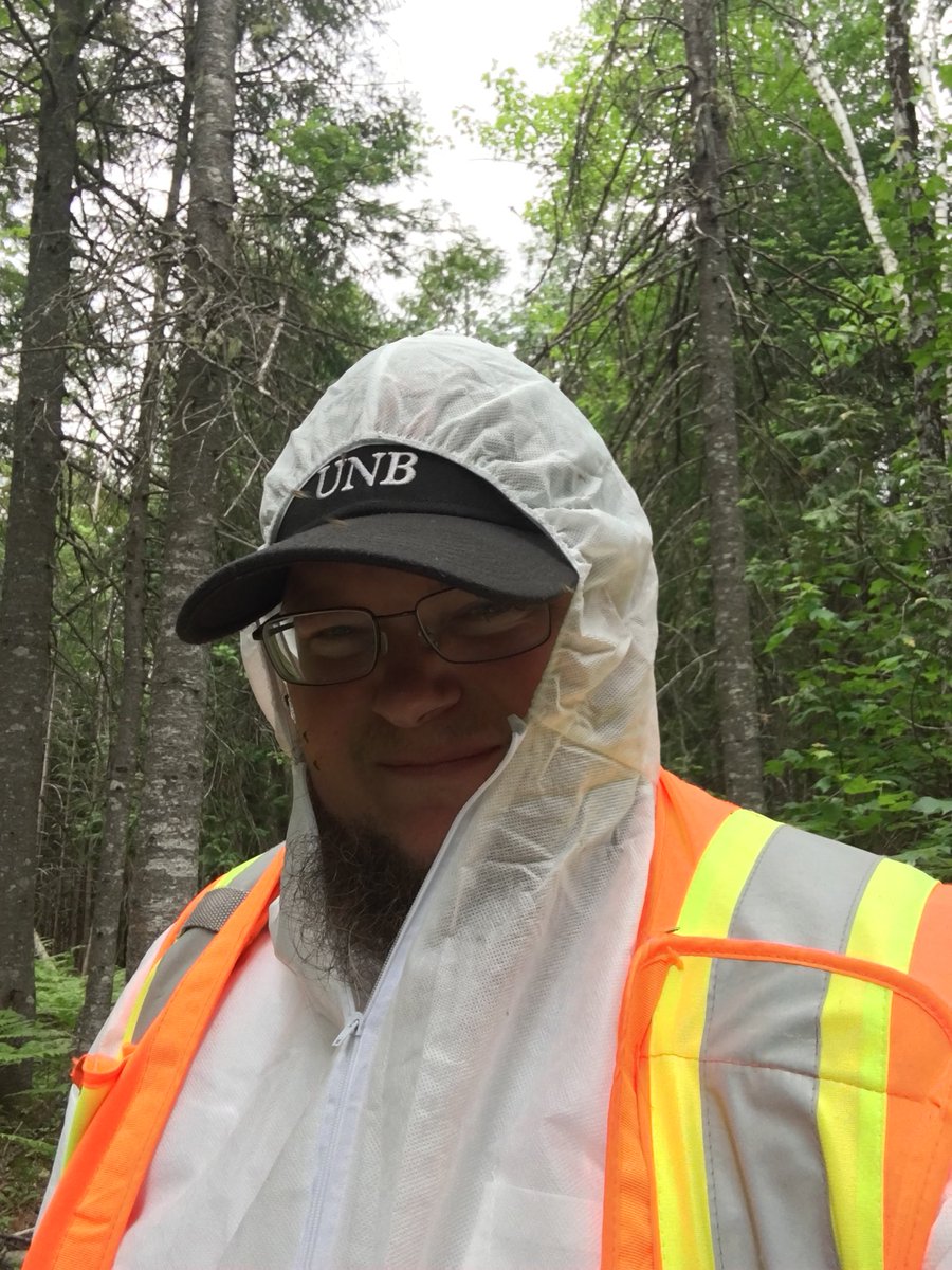 munn_douglas's tweet image. no #BlackleggedTicks in Burton, Gagetown, or Geary... but sooooo many mosquitos.