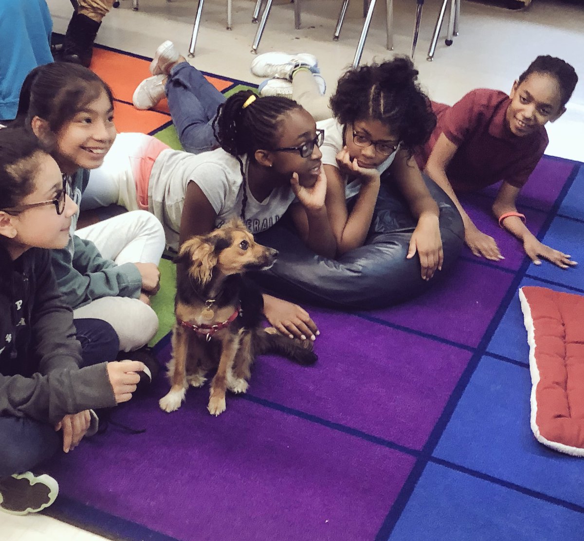 We love having <a href="/Juno76Q/">Juno</a> in our class💕 #76learns