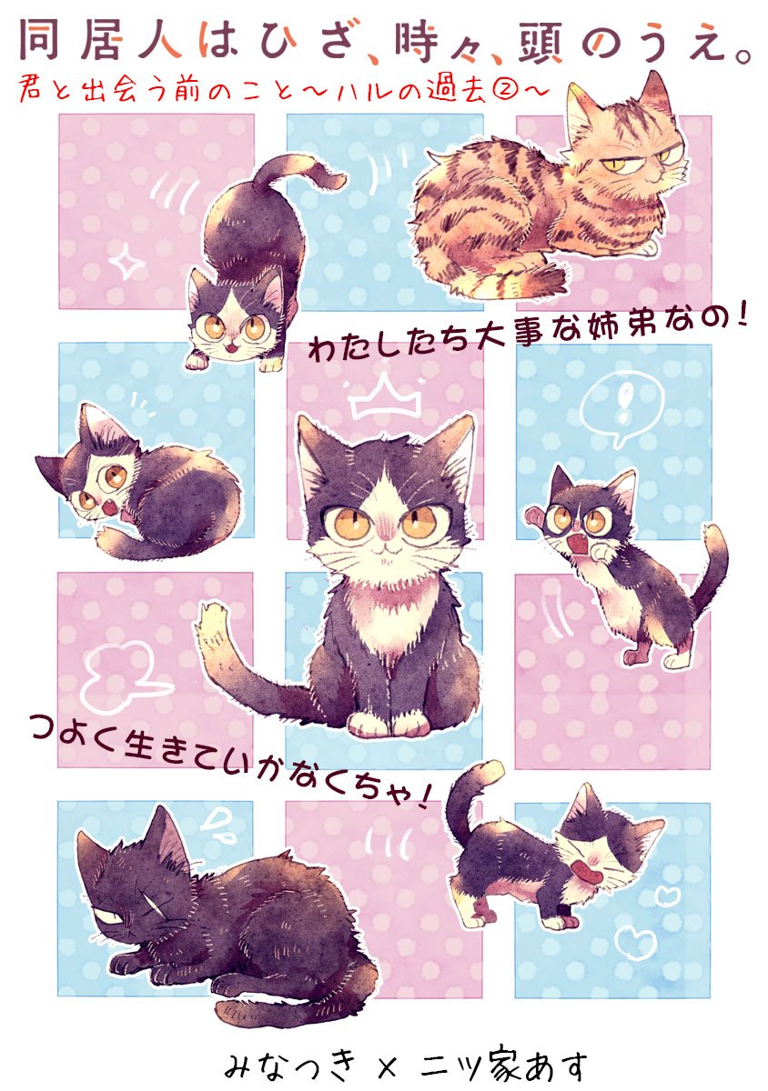 Comicポラリス V Twitter 6 14更新 ちいさな同居人と暮らしています 同居人はひざ 時々 頭のうえ 君と出会う前のこと ハルの過去 素晴に会う前のハルのおはなし 姉弟との生活は毎日刺激的で 単行本 巻発売中 Https T Co Jvtwqh4egq