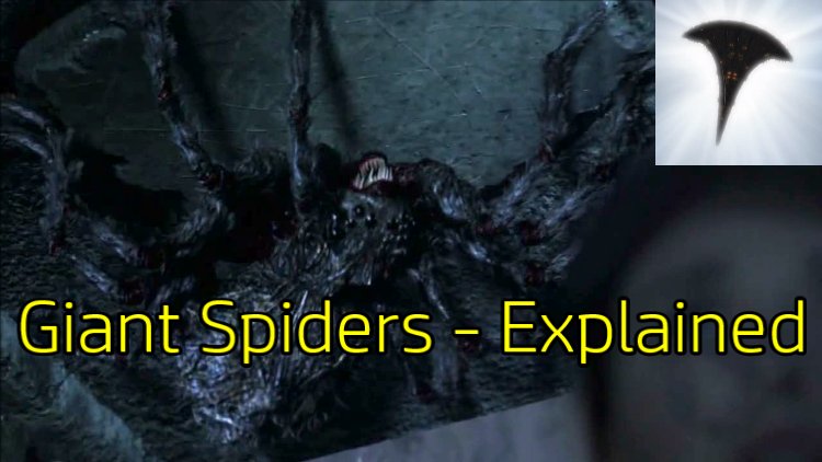 DestinysComput1's tweet photo. In Stargate Universe, what are the seemingly aggressive yet remarkable species of alien arthropod known as Giant spiders?

https://t.co/IgMxrjG6TT

#Stargate #StargateUniverse #SGU #GiantSpiders https://t.co/0e2rZJy0Qt