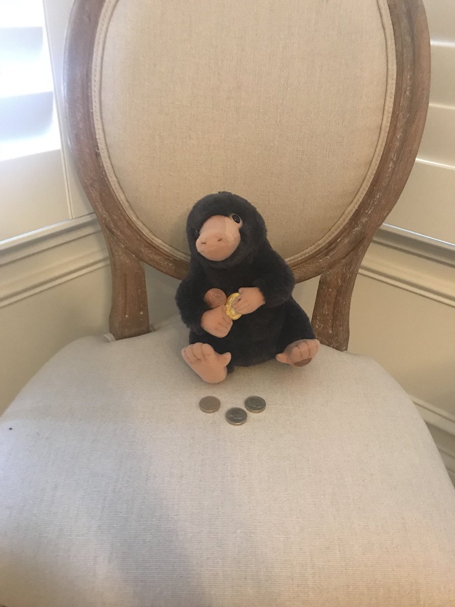 pint_pound_pate's tweet photo. Itโs all fun and games until they update the ยฃ coins and I am now out 3 quid (that I know of)! #niffler #thief #hesaidsorry
I think @jk_rowling is to blame? #pouchdiscoveries #19yearslater #harrypotterproblems ๐๐ฅ https://t.co/qjwBk3EUwb