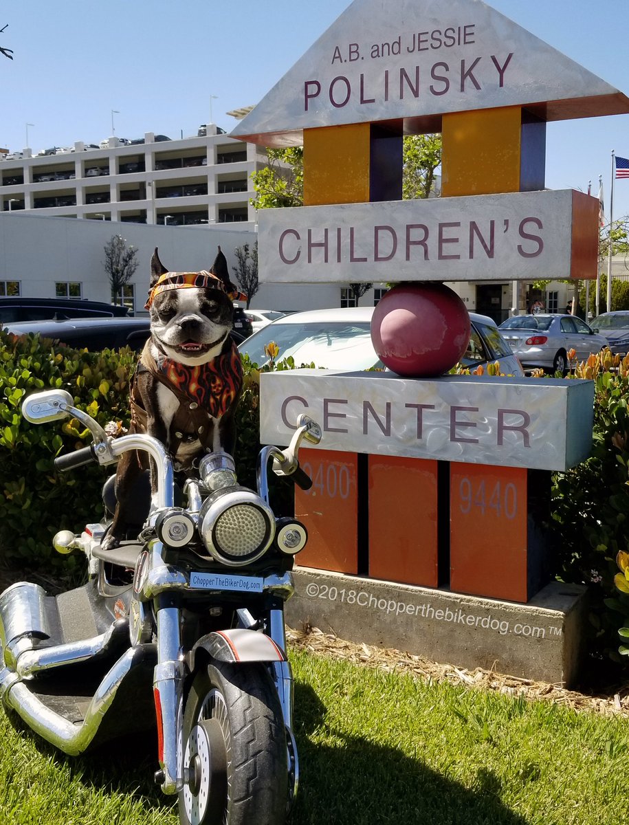 Chopper The Biker Dog ™ tweet media