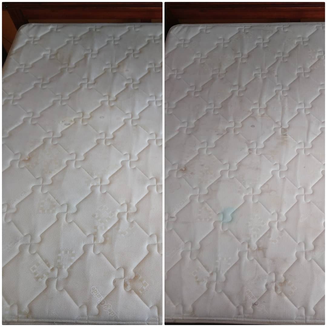 CorpClean1's tweet photo. Gracias por su confianza
#LimpiezaProfundaDeColchon
#EliminarMalosOlores
#EliminarManchas
#LimpiezaDePersianas
Separa tu cita 📲 0994467871
📲 0996516163
@MotelesExtasis @Meche_Chevez @pamRdormo @marcedeje @MaximoBanguera1 @pedroquinonez15 @Lavecinatomas https://t.co/0f4PVu40D1