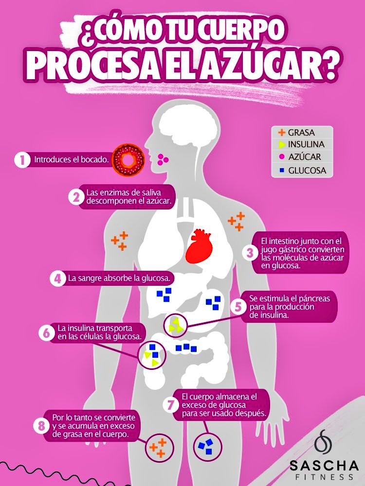 RehabilitaT1's tweet photo. Los efectos del #azúcar en el cuerpo varian según su procedencia; #fructuosa (frutas y verduras) y #glucosa (carbohidratos refinados, galletas y pan), esta última es la más peligrosa, aunque debes limitar ambas. ¿Cómo procesa tu #Cuerpo el azúcar? #Rehabilitación #Fisioterpia https://t.co/fOu26etm1e