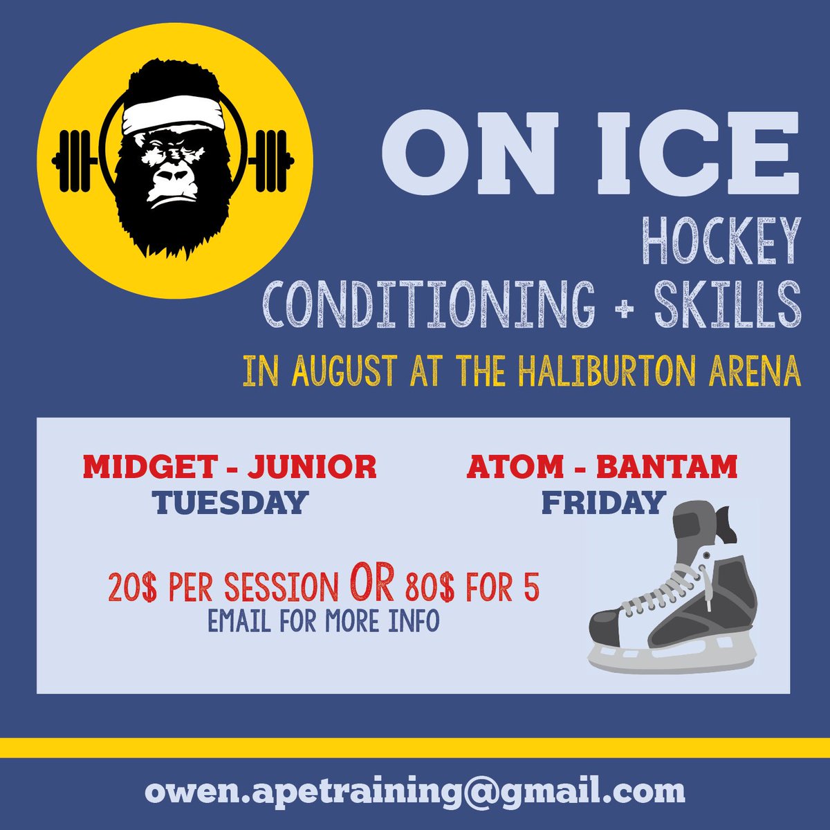 _ape_training's tweet photo. Improve yourself on the ice as well with A.P.E Training On Ice conditioning and skills! https://t.co/9XNj2pfhOc