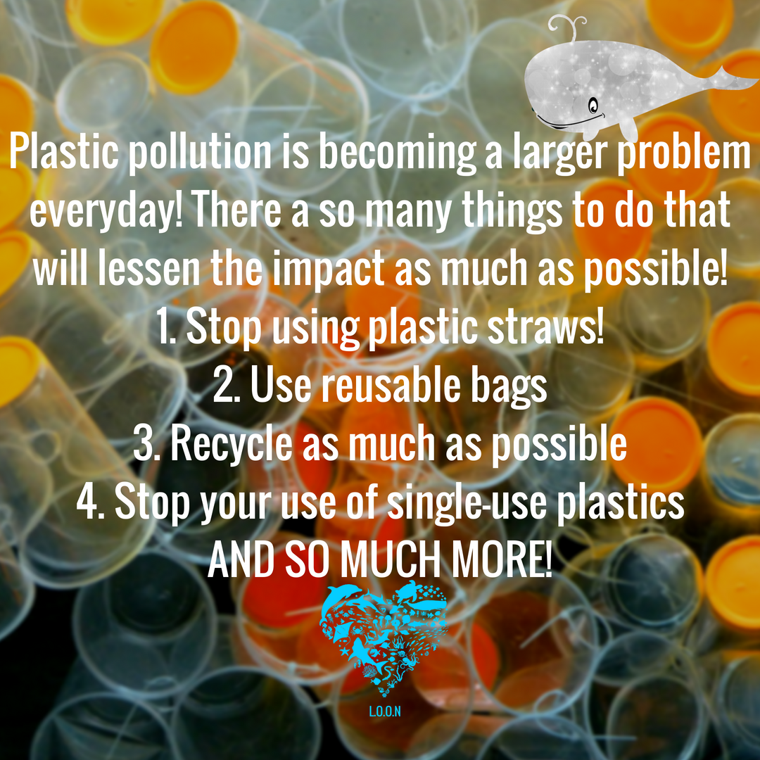 lovingouroceans's tweet photo. Recently big news came out about a whale that was found with 80 plastic bags within its body. There is so much you can do to make a difference to end #plasticpollution ! Would be willing to give up plastic as much as possible to #SaveOurOceans #BeatPlasticPollution #LOON #love https://t.co/Hk3DeU4LX5