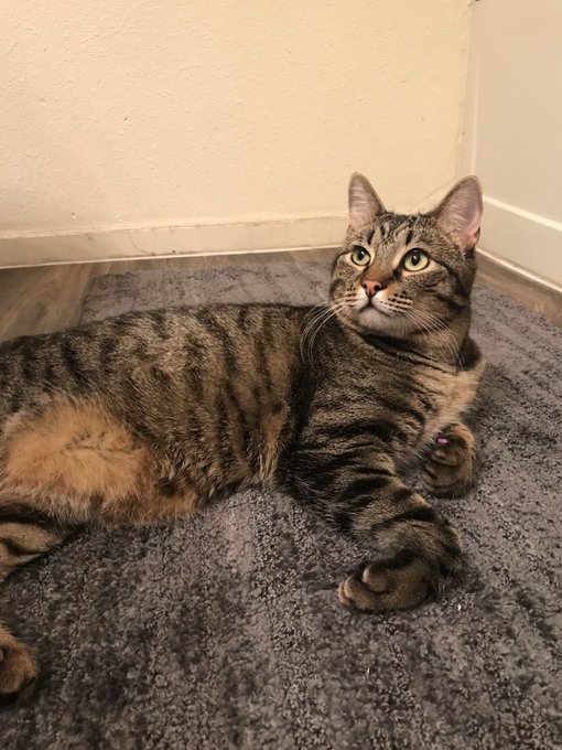 This is Jonesy&rsquo;s world. We just live in it https://t.co/JshqWHU0Gc