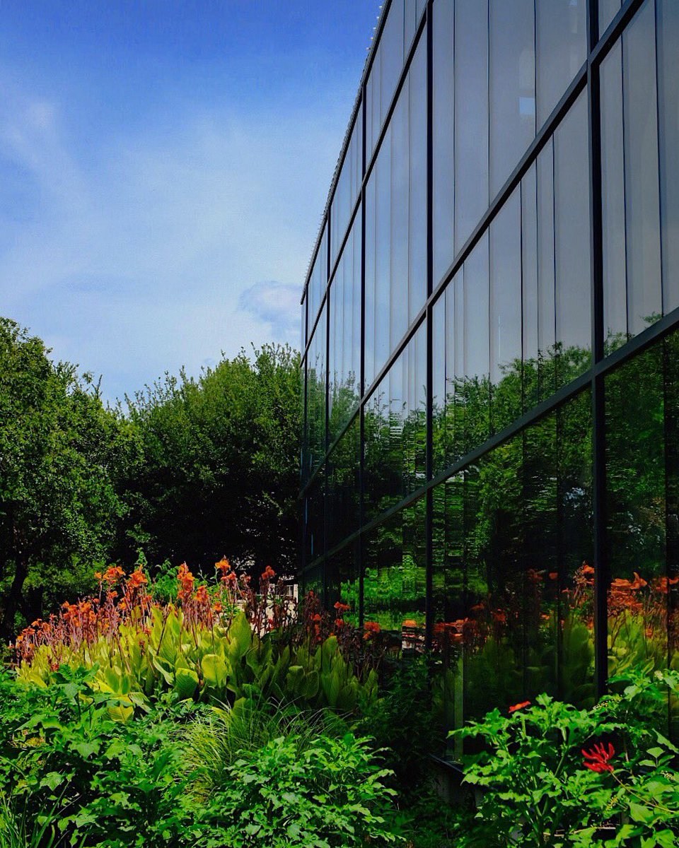 marklamster's tweet photo. pratt box and henderson’s magnificent glass box at the texas discovery gardens in fair park, from 1967. #notinvenice https://t.co/itEphr9gLV