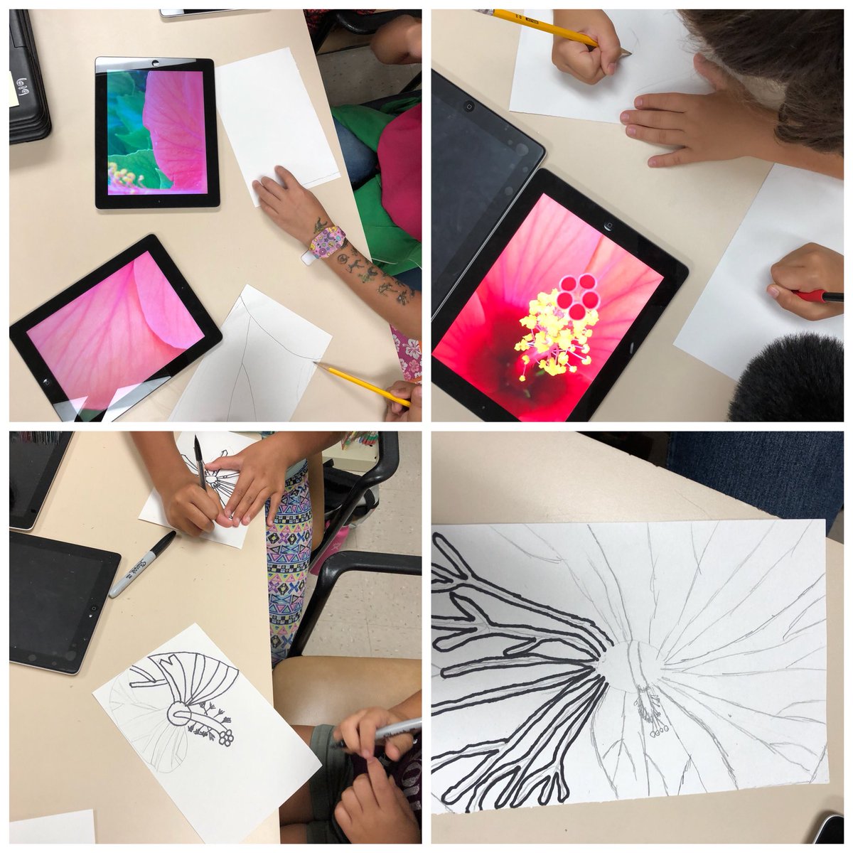 We be artin’ like O’Keeffe today! The kids took some AH-MAZING pictures of nature! In the process of getting it to paper. #artaroundtheworld #summerschool