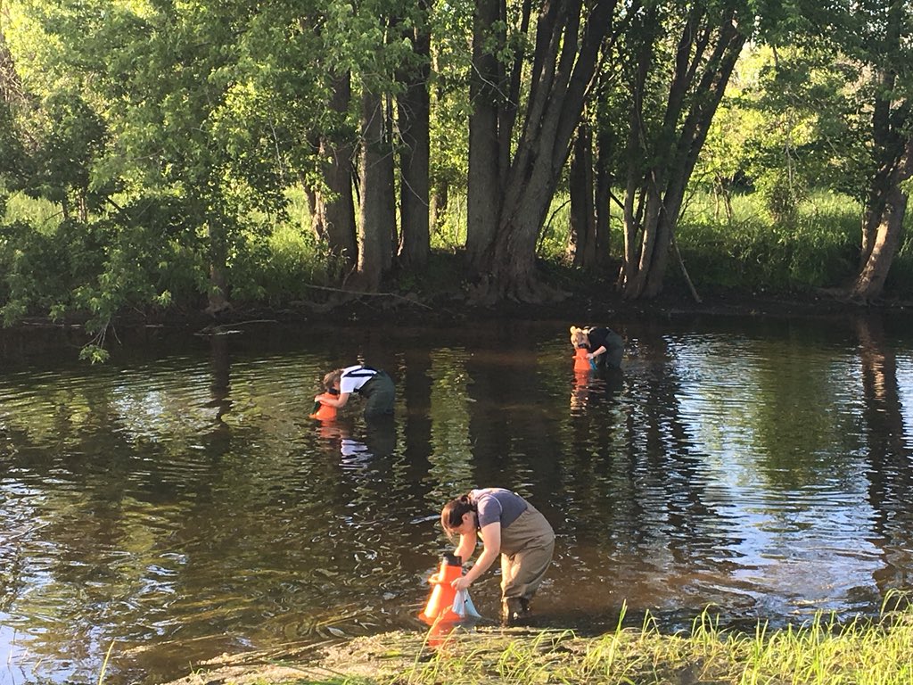PhatMucket's tweet photo. It was a great evening to complete a #FreshwaterMussel survey with @mkeriverkeeper volunteers! @WisCBM https://t.co/qOdR1Fy6ik