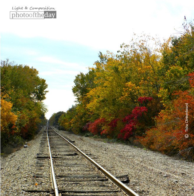 LatinAmericans's tweet photo. Fall Tracks, by Tisha Clinkenbeard - https://t.co/DkFl5o0ZlV - #Powderly #Texas #TishaClinkenbeard https://t.co/vXLzJVxHrV
