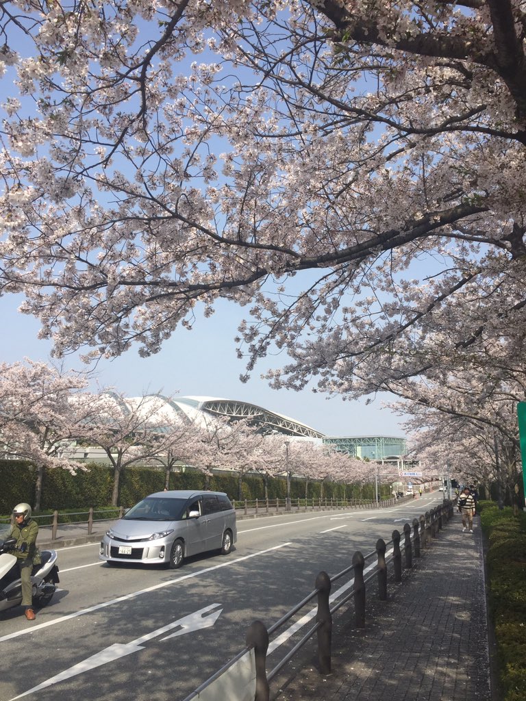 Show در توییتر 6年くらいiphoneの壁紙にエヴァq使ってたけど 三峰神社の鳥居と阪神競馬場の桜に変えた Show در توییتر 6年くらいiphoneの壁紙にエヴァq使ってたけど 三峰神社の鳥居と阪神競馬場の桜に変えた