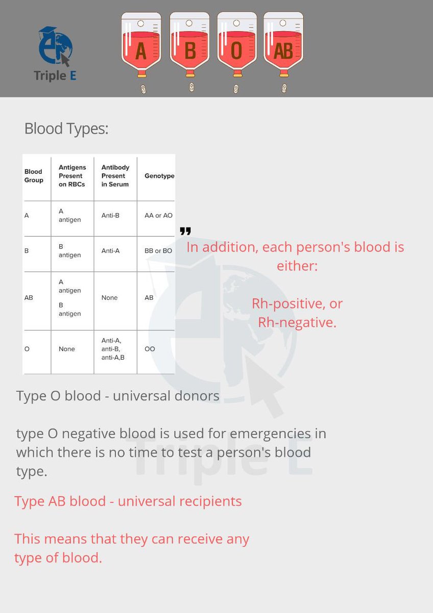 TripleE_KSA's tweet photo. #اليوم_العالمي_للتبرع_بالدم 💉
#١٤_يونيو
#طالب_طب
#فضفضة_طبيب
#Triple_E
#لست_وحدك https://t.co/n6awbPXjAq