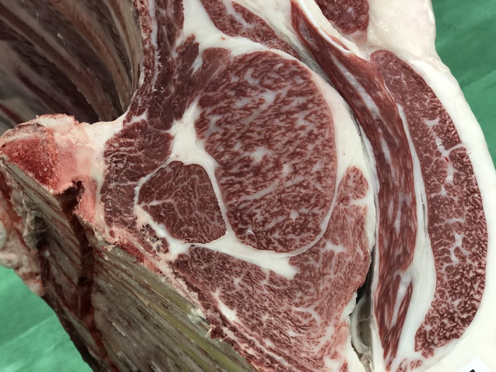 ORDeptAg's tweet photo. #KobeBeef experts educate trade mission members about cuts of meat and how quality is graded in #Japan. @USDA @USDAForeignAg @USDAJapan #ORtrade https://t.co/NRjYcrgm5s