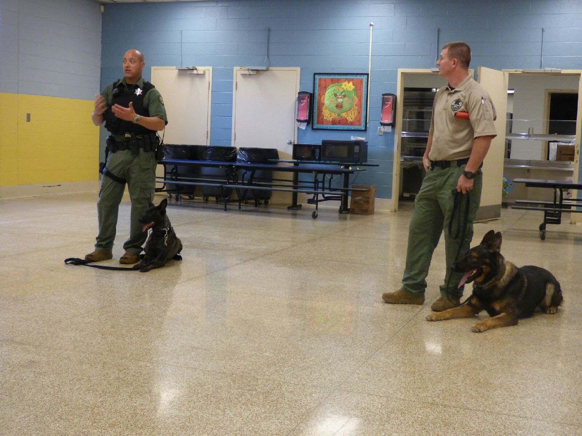 Sheriff Goins announces successful CSI camp at Jacksboro Elementary read more here:  m.facebook.com/story.php?stor…