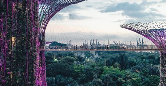 PentlandCentre's tweet photo. The Carbon Trust is now recruiting interns in the UK, South Africa and China. With a business background and a passion for sustainability, students have the ideal profile to join the organisation. @WeAreLUMS https://t.co/g96QfQQn77 https://t.co/1VN2O5ZHNe