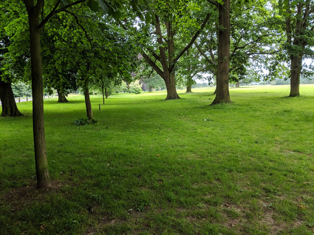 sguntherph's tweet image. Although windy great walk through #stockwoodpark #localparks @lutoncouncil to our first discussion on refreshing our #learningdisability strategy in Luton with @NHS_LCCG and place partners