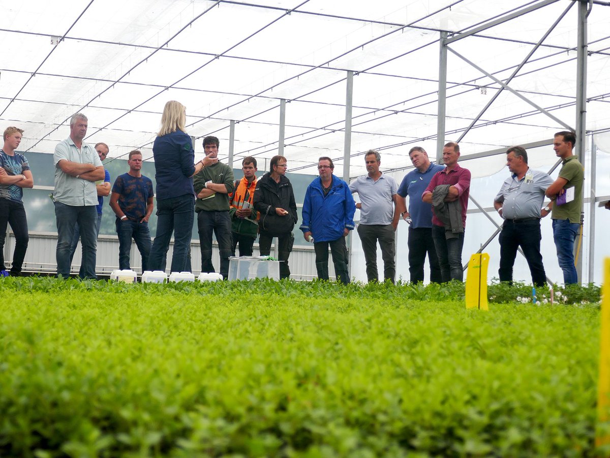 Over één week is het zover: Meet&amp;Green te Venlo! Deze #kennisdag is gratis toegankelijk, enkel deelnemers voor de spuitlicentie betalen kosten. Partners <a href="/SummaAdvies/">Summa</a> en <a href="/Agrocultuur/">Vitelia Agrocultuur</a> zorgen tevens op het einde van de middag voor een hartige afsluiting: meetengreen.nl.