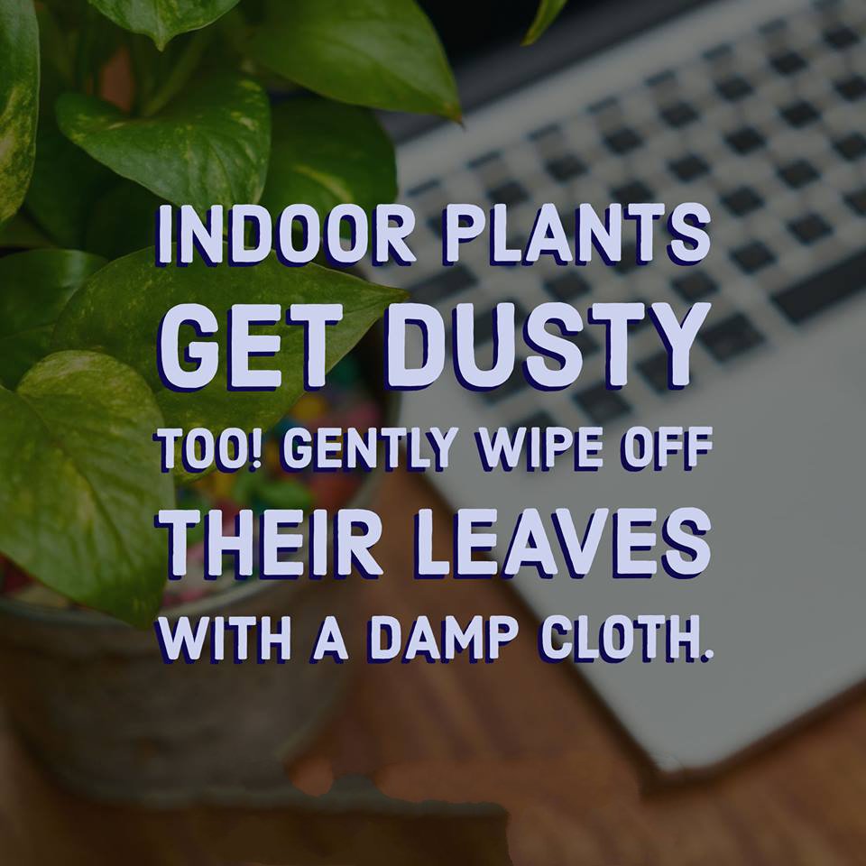 KeepCalmCS's tweet image. Cleaning Tips From Keep Calm Cleaning Services Limited &amp;lt;3 ow.ly/13NE30j02Hx #officecleaning #commercialcleaning #Cambridge #schoolcleaning #cambridgeshire #cambridgeschool #cleaningtips #cleaningservice