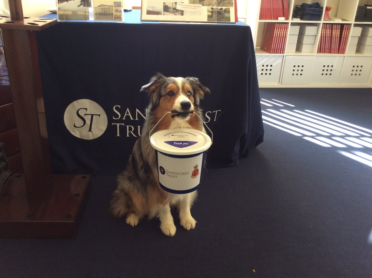RMASTrust's tweet image. Everyone in the Sandhurst Trust is busy getting ready for Heritage Day on Sunday. #givegenerously #charity #workingdog #Alfred #Australianshepherd