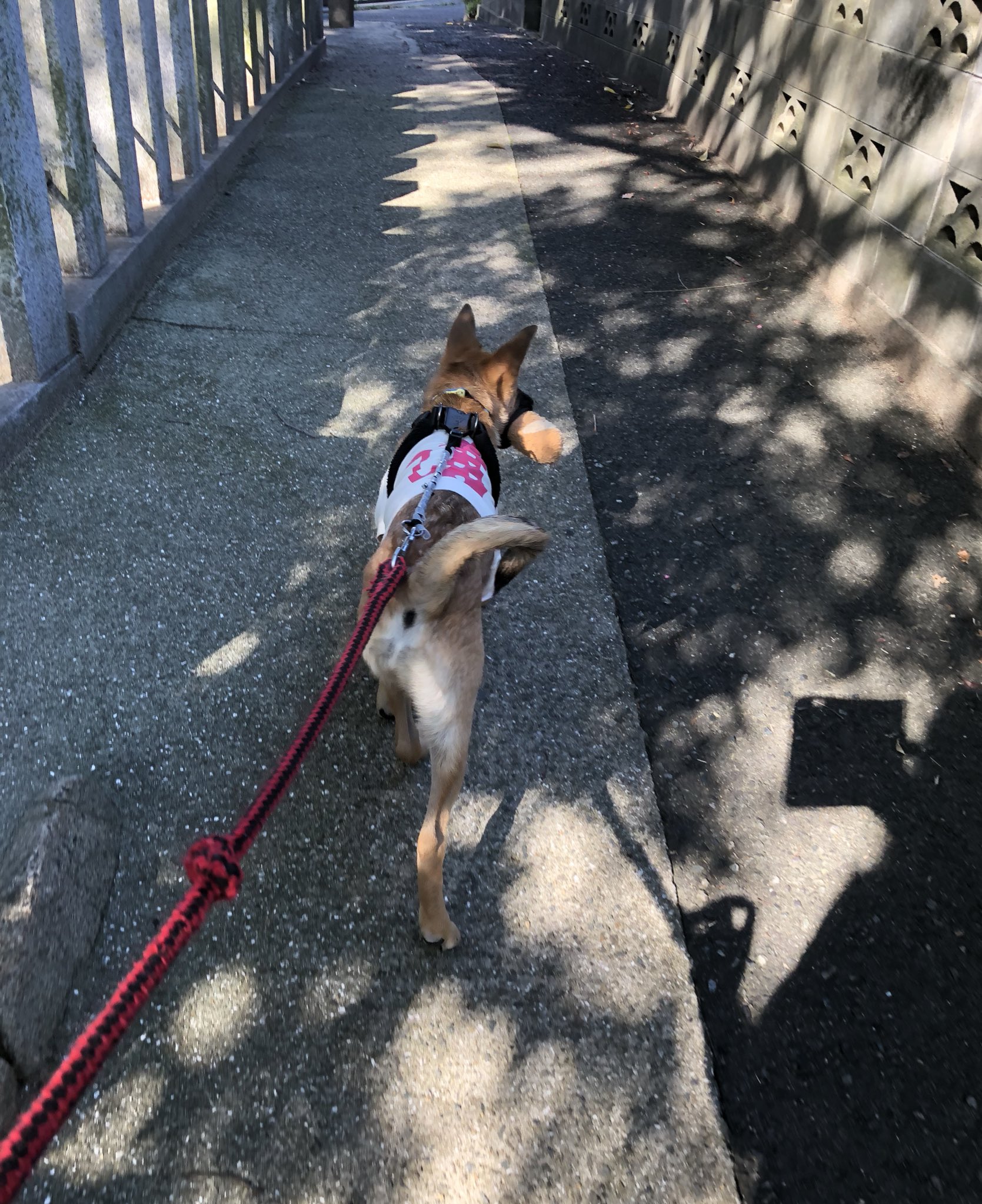吸い殻誤飲 Twitter Search Twitter
