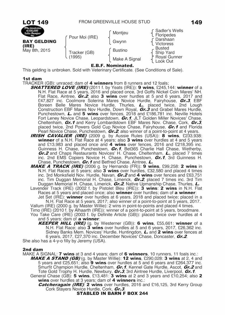 Tattersalls_ie's tweet photo. Only 1⃣3⃣ days until the Derby Sale &amp; a fantastic opportunity to buy a gelding by @coolmorestud Pour Moi with a pedigree on 🔥 inc. SHATTERED LOVE, IRISH CAVALIER &amp; MAKE A TRACK #DerbySaleDominance Buy the best at the best! https://t.co/betS2dzKcn