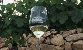 TecnoVino's tweet photo. #Valdeorras es #viticultura ancestral, esencia atlántica y variedades y suelos singulares https://t.co/pD2YDY9aXl https://t.co/wBkUq2CtOg  @CRDOValdeorras   #vinosdeValdeorras